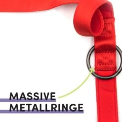 STUCH Hundeleine - Führleine - Medium Rot -Zoofachgeschäft 417b667e17cc878e03d99935a0455feb62c1f5b9 1399118 de DE 95ade165f5933b21f71491f3eeb1769591b52c61Sn9mqZ