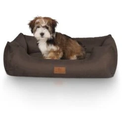 Knuffelwuff Hundebett Dreamline Aus Velours Braun M-L 7 Knuffelwuff Hundebett Dreamline Aus Velours Braun M-L -Zoofachgeschäft 4874a718fee5f0bdcb64f710c17c88a67ef28955 1411758 de DE dafae6b74b3af75ee424a346e8806ecd50415f171FsFRH
