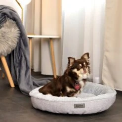 Lionto Rundes Hundebett Grau S -Zoofachgeschäft 495319c5e5d302912b44d9c5eec4bf5d9f8545a8 1657076 de DE aa318acd7ce25545f999031d1739d15f3d8316c0wpiYjz