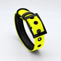 THE DOG IDEA Biothane Halsband Neongelb Schwarz XS 9 THE DOG IDEA Biothane Halsband Neongelb Schwarz XS -Zoofachgeschäft 4b5f94c116ee8f4116352a5e2bf8c37f9bf8d64e 1679167 de DE 963fd5279bdf0e4b38d32b1a64f15f6228f52ca3f4Ctn8