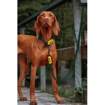 THE DOG IDEA Biothane Hundeleine Dunkelgrün 2 THE DOG IDEA Biothane Hundeleine Dunkelgrün – Bild 2