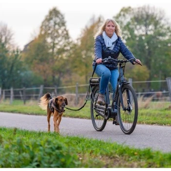 AniOne Fahrradleine 2 AniOne Fahrradleine – Bild 2