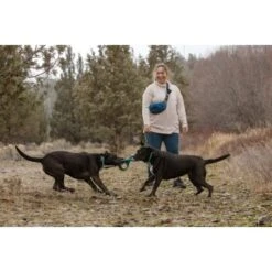 Ruffwear Pacific Ring™ Spielzeug Blau/ Türkis 14 Ruffwear Pacific Ring™ Spielzeug Blau/ Türkis -Zoofachgeschäft 55dba30b9a5e3fc77d29bb72e0dc6fad83c40ffc 1444351 de DE 8a3b2d989e7fae2c85eabfcfca3bb7709484f9a3jKDH9l