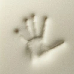 Rexproduct Otto Orthopädisches Hundebett Dunkelblau S-XL Dunkelgrün S 7 Rexproduct Otto Orthopädisches Hundebett Dunkelblau S-XL Dunkelgrün S -Zoofachgeschäft 570349f41587d31b10a65c2e1f7c454db29b39b9 1499832 de DE 4a05f204198aead29f7c6fcb2b828fd649f99213DTOwd2