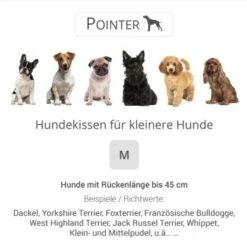 Pointer Liegekissen Khaki M -Zoofachgeschäft 5c95e0c5cd34d73a5613280bd9c008b2338ac28e 65d97dccf50f65346fc9d81c1d0c8309bc74a4d7