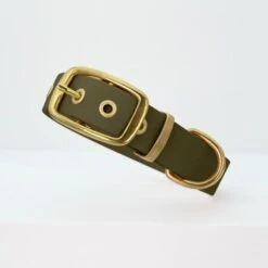 THE DOG IDEA Biothane Halsband Gold Khaki M -Zoofachgeschäft 5f39446a1ee14dab16a89a3689929003861983a8 1655419 de DE fdcb084ec6e1b995d3a74426085016a70227a578xTiAJp