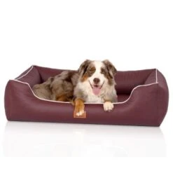 Knuffelwuff Orthopädisches Hundebett Aus Kunstleder Lovelock Bordeaux M-L 9 Knuffelwuff Orthopädisches Hundebett Aus Kunstleder Lovelock Bordeaux M-L -Zoofachgeschäft 6255a556979a4796fcbc28c238da9224cfb8661f 1412201 de DE 815d50cee4eb3eb78e6ede8d498a09045e4968f0ueFgBo