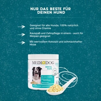 MediDog Dental Pops 3 MediDog Dental Pops – Bild 3
