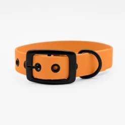 THE DOG IDEA Biothane Halsband Peach Schwarz S 7 THE DOG IDEA Biothane Halsband Peach Schwarz S -Zoofachgeschäft 63a25a829c0ae8ac00d7fae9357dc6f599e1ece0 1679210 de DE 209fe0574a98d9ae7be9198096227e22ed500368ghK2fN