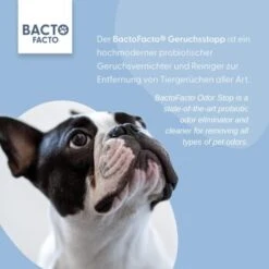 ChronoBalance BactoFacto Probiotischer Geruchsstopp Pads Für 2 Liter 20 Ml -Zoofachgeschäft 6515b6e6800e68909a0a5f7e0f816613e8c36542 1397549 de DE 9a466fcf5c88e78df191b07c6d764f4746df49dcxtsIbT