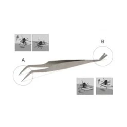 Lills Zeckenzange Aus Edelstahl -Zoofachgeschäft 666f3a3fb181b232ac8339dfb19af759aa845978 1488086 de DE f0e508c7b7855d95e1b35fa6dabdb0d0ba4555f76ECWsn