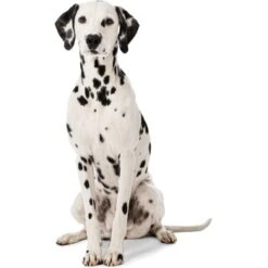 MORE Liegeplatz Cord LOOKS By Wolfgang Joop M -Zoofachgeschäft 6828406bf5c097465ec912985de2b95c60385f12 1410461 3