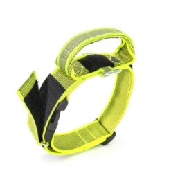 Julius K9 JULIUS-K9 Halsband Mit Griff 50mm Neon Gelb -Zoofachgeschäft 6d974eed80600aae5610e6f937ce73cb97345cc1 1346788 de DE K9 3