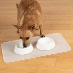 KaraLuna Basic Napfunterlage Transparent S -Zoofachgeschäft 6f92b46b9666870298738b4bee75a50ee534fac6 1407499 de DE 14497c23a79b7136237df13f9c32b5ed84fd5ff04vyZgl