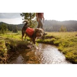 Ruffwear Front Range™ Hundetagesrucksack Rot XS -Zoofachgeschäft 6fcda691161ff080a6f6075669f57b606bb5abbe 1639836 de DE 827ca11f058fc24bc21d1c4bb6cec8d9576cc1835E84NB