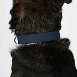 THE DOG IDEA Biothane Halsband Navy Neon Gelb XS -Zoofachgeschäft 6fd2b4918a3646f398fd352f4f8921fb2db71354 1481054 de DE 2eb47437e49e7285dfb051bfdaad6fee4d199d13okJULW