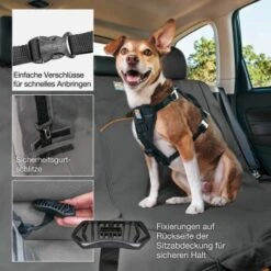 Kurgo Wander Rücksitz-Autoschondecke Hunde, Grau -Zoofachgeschäft 726d58caeb6842b9c196c6f8d2427b3ea95f6687 1335890 de DE 7a7d0411ff0f2559f049a99649829857b23e271c33vw1K