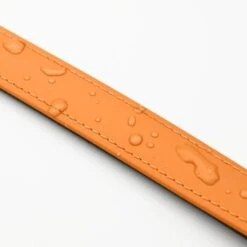 THE DOG IDEA Biothane Halsband Peach Pink M -Zoofachgeschäft 79a2111ad40e5fad15daace172221374f98e6cc4 1679187 de DE 51bb020948375b628b5548a37c78dbf992c16262Tnehdd