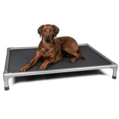 TrendPet HighBed Hochbett Für Hunde Grau M 8 TrendPet HighBed Hochbett Für Hunde Grau M -Zoofachgeschäft 806c9151a30c8768dca1db3b613750e05f9a4162 1398000 de DE eccf46af10cedb35cd08bd74c647de0fa5efa511wPNHSV
