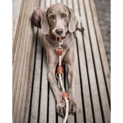 Freudentier Führleine 2m & 3-fach Verstellbar -Zoofachgeschäft 82c4c16600b55dad96f7e995c74cb66bd8f2d8b5 1496011 de DE 621b9f718972b0ac63a777999c0f3069752bf98d8ANo7T