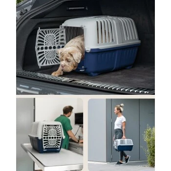 Lionto Transportbox Aus Plastik Dunkelblau S 3 Lionto Transportbox Aus Plastik Dunkelblau S – Bild 3