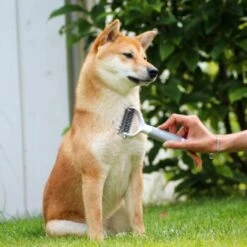 Schlitzohr Unterfellbürste Cookie 14 Schlitzohr Unterfellbürste Cookie -Zoofachgeschäft 8a282a966ab4bc47cbd028495077fe9505bb8eff 1484683 de DE f9a0182d0c3e6b7b158dd177c8fb6ca9048996c68U5RR2