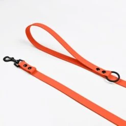 THE DOG IDEA Cityleine Biothane Orange -Zoofachgeschäft 8b128dcd8fdc0c70e8676d0e095c3119380e9482 1492085 de DE 7b0476d14053e82b93eae2d1b910a9110a00ce2eVxtoaS