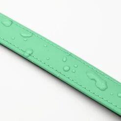 THE DOG IDEA Biothane Halsband Mint Mint S -Zoofachgeschäft 8b56ebbdaaffac6755df46ff5e991ac1f2e098f1 1679174 de DE 917dddc9a1240fb91bb3a35d4cda568edf48f015TLoJLR