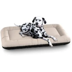 Knuffelwuff Wasserfestes In Und Outdoor Hundebett Lucky Color Edition Aus Nylongewebe Beige XL -Zoofachgeschäft 8dd02eaae612e5563702fdcfe16605b525d74142 1411797 de DE d114daa6157992e4ce140d57abc1c52285d7dd64ZAW4MD