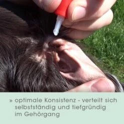 CdVet Ohrenpflege 20ml -Zoofachgeschäft 914c8f628437ae3730ae100e9d830fde4110d2fa 1033310 de DE 4b4360f1b0792ee01691f9782dbac9d472f73d96hA4rB6