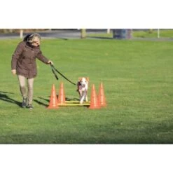 Trixie Dog Activity Hindernisse Ø30x50cm 7 Trixie Dog Activity Hindernisse Ø30x50cm -Zoofachgeschäft 91cbc45b90b8a0cfe868659f3dcf31f8aff28e6a 1287033 de DE Trixie Hindernisse wb 2