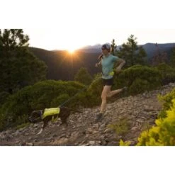 Ruffwear Trail Runner™ Laufgurt Limonen Gelb L-XL 13 Ruffwear Trail Runner™ Laufgurt Limonen Gelb L-XL -Zoofachgeschäft 93a58c4fc27710218901d94aece28188b07bd319 1651444 de DE 8247d7fe22d77de2e7ea731c778011a0fe985828KUUc7c