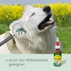 CdVet Ohrenpflege 50ml -Zoofachgeschäft 996bc55aca7303d71af6872442ff47b85087fa20 1322257 de DE 913b3fb28cb4c7cbb549b216ae11f3b04ff5ee25VNtsyN