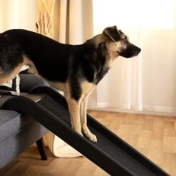 Lionto Hunderampe S 9 Lionto Hunderampe S -Zoofachgeschäft 9a27d9081358a028a1b72ead7080510044a8169e 1666004 de DE f64b973e1493edf7fe4f36b8d999583502db377cygQs3E