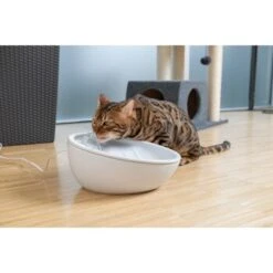 AniOne Keramik-Trinkbrunnen Waterfall Weiß Ohne Ersatzfilter -Zoofachgeschäft 9ab78e65ebaf72b76c537cd735c5a7cd6cd4d027 a897eca6393f48ff54c98954a2b189a96196cfbd