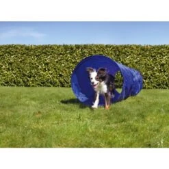 AniOne Agility Tunnel -Zoofachgeschäft 9b82da119a923abe80bb6d63ef97328c5e1e7dcf 2dc906b772e837b2770e0f896237c640992fd5d2