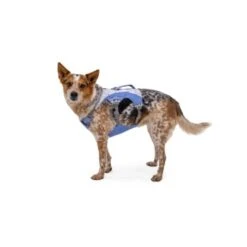 Ruffwear Swamp Cooler™ Geschirr Violett L-XL 18 Ruffwear Swamp Cooler™ Geschirr Violett L-XL -Zoofachgeschäft 9c08d51037e9b6fa0de383af1dac2a8b98ac18a2 1651453 de DE 203c7bccc1793230d4ae6303c0a319bf98044f95DOp5lO