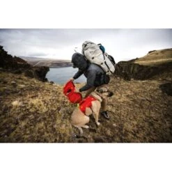 Ruffwear Palisades™ Hunderucksack S -Zoofachgeschäft 9c538d7ee351a6351261523d7827ff562558bc44 1444346 de DE 7e4484d919f848038e59e304ba140f6dbd9741abv6PWla