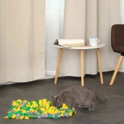 Lionto Schnüffelteppich Für Hunde Gelb/ Grün -Zoofachgeschäft 9d558ffbda76cdcd394a8a7ca451642b442c6f44 1665991 de DE ef532378664797103a69674a9266b89c9182f72bcHtsGL