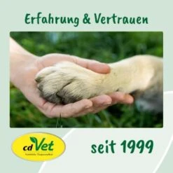 CdVet Ohrenpflege 50ml -Zoofachgeschäft 9ed4fc954232c5e8e57d3234b374c19f2505100c 1322257 de DE 9de31ae422c889f65e12a1085ee6ba81b11de6a36QDt4Q