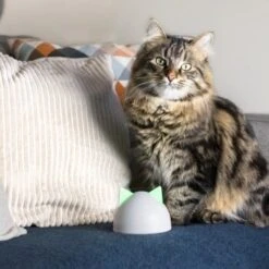 SureFlap Sure Petcare Hub 15 SureFlap Sure Petcare Hub -Zoofachgeschäft 9f5bfec8de043f4a92cd1437f562ae1683a10820 46ac2e41b6bc8ea03ea15881bcebd38d8c7bf830