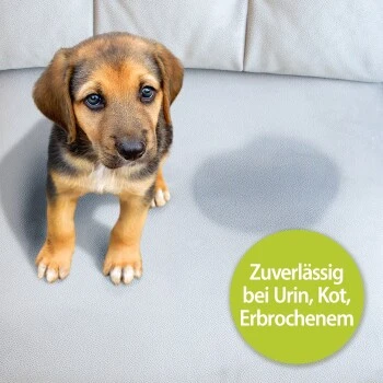 Bactador Geruchs- Und Fleckenentferner Konzentrat 1 L 2 Bactador Geruchs- Und Fleckenentferner Konzentrat 1 L – Bild 2