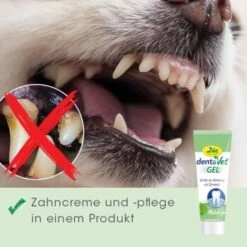 DentaVet Gel 35g -Zoofachgeschäft a0d4d3bd9437af6bafea1b3b7a3c5a28814220c7 1249039 de DE 4ce29d2ba67554731965330067a7d46dd701a488pV84j2