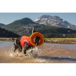 Ruffwear Hydro Plane™ Spielzeug M Orange 9 Ruffwear Hydro Plane™ Spielzeug M Orange -Zoofachgeschäft a3976cd8510df92d7b86f42c35fd984bc0313421 1364300 de DE 7e1ea9adae25d55e79a8aed2cc6dc797ac8d0d03R1qvUL
