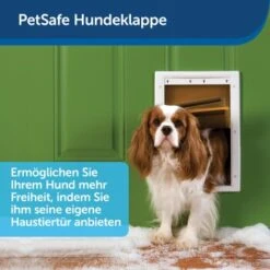 PetSafe Haustierklappe Für Extremes Wetter S -Zoofachgeschäft a6418c2f84c3e14467d7c91992b367da97c80c68 1279434 de DE fb7da59b7a5bf84ad58e13f5dc3d9cc04f4fa864u7H7aK