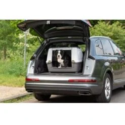 AniOne Kofferraumbox M -Zoofachgeschäft a991e5ff952a4d0b5eb969d4e02a62969db93a45 4d8710e1e9b6b02baac5c0abf4ef7f929323e520