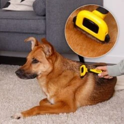 Lionto Haustierbürste, Zupfbürste -Zoofachgeschäft a99a14a7250fd4e501ec529126934f0a8e973480 1665908 de DE 47ac745e0253c5bc3fba7e69b1681c237a8f3a97orElkU