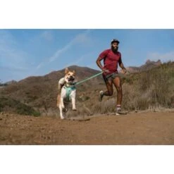 Ruffwear Hi & Light™ Leine Grün 20 Ruffwear Hi & Light™ Leine Grün -Zoofachgeschäft a9bb9c540656b7aa8771909ef98b6c75c25b9109 1651449 de DE e1f513ccb316fd4c3d8ab244f2741d98d771b1dc3aPDlo