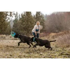 Ruffwear Pacific Ring™ Spielzeug Blau/ Türkis 16 Ruffwear Pacific Ring™ Spielzeug Blau/ Türkis -Zoofachgeschäft aaae4ecd59db92ffe25787fd56b7315d42974ecb 1444351 de DE f747ae339bc2beff156a317c539c1237b854177bd9ZZMN