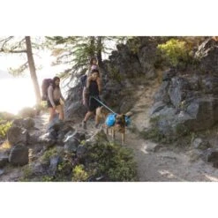 Ruffwear Approach™ Hunderucksack Blau M -Zoofachgeschäft adb6fe53f35c002880a11fdf955223282473e71e 1639823 de DE d58a64010d5b9dcf26c55b9da34cfb41fef50ac2cwioux